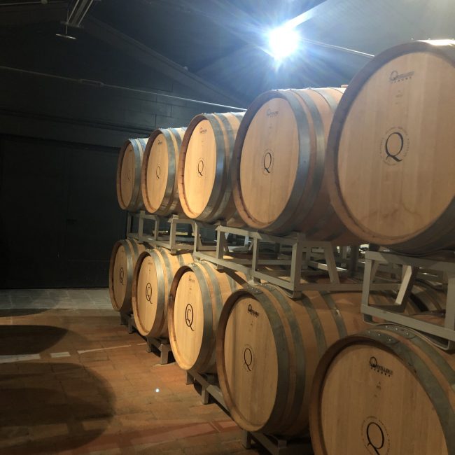 querceto di castellina - wandering and tasting