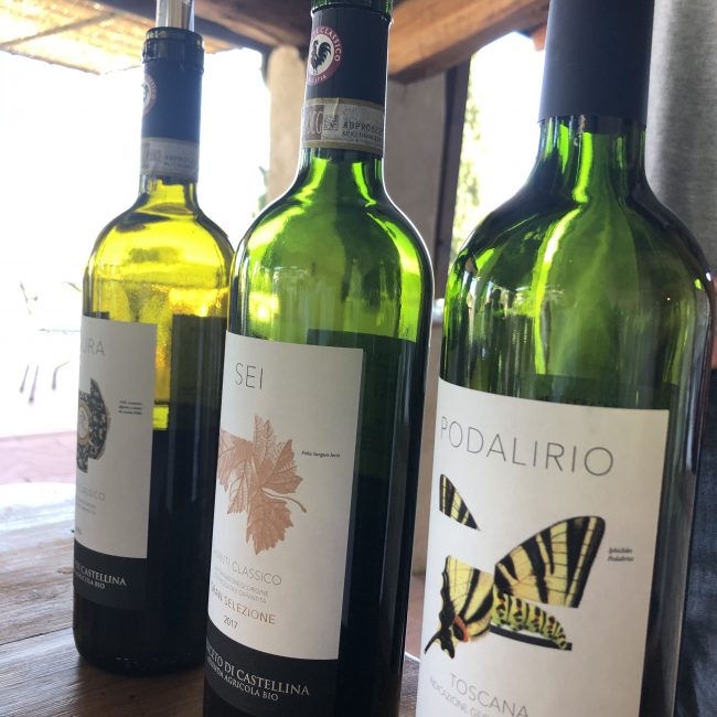 querceto di castellina - wandering and tasting